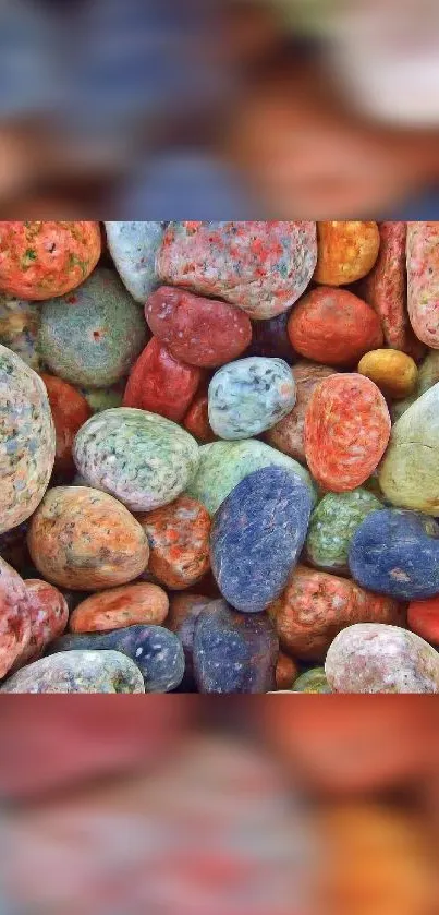 Colorful pebbles arranged artistically.