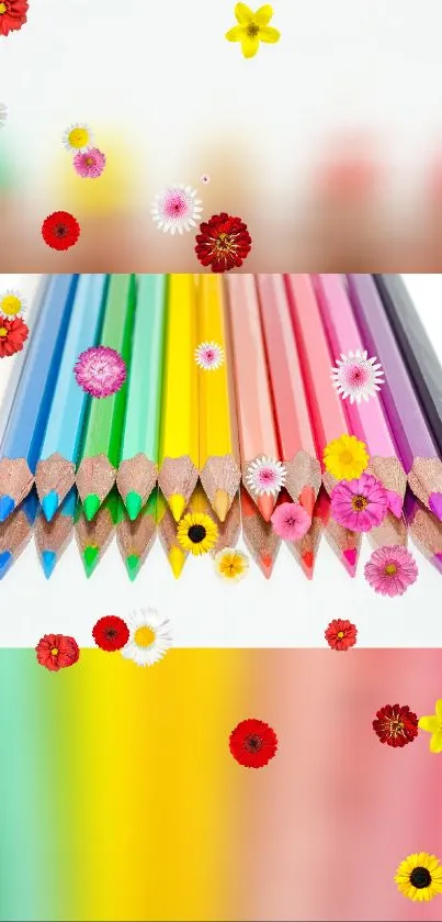 Vibrant colored pencils with flowers on a white mobile wallpaper design.