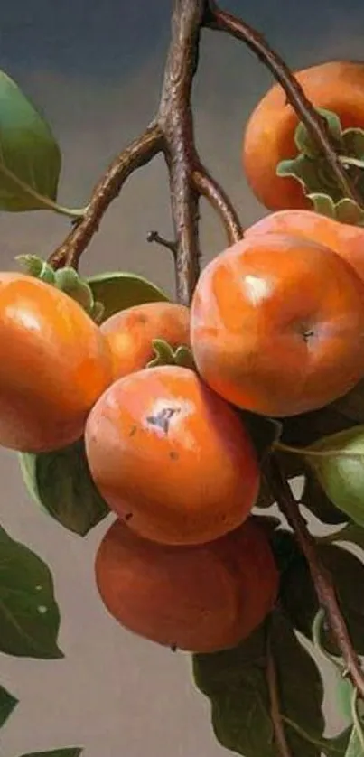 Artistic persimmon branch with orange fruits and green leaves.