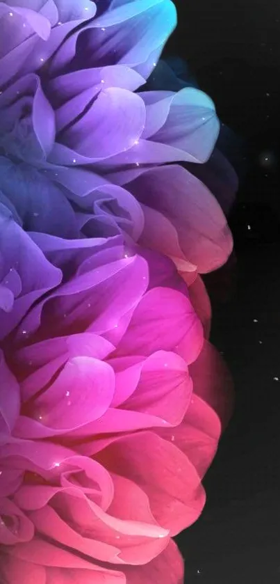 Colorful purple and pink gradient floral wallpaper with artistic petals.