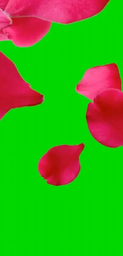 Red petals on bright green background wallpaper.