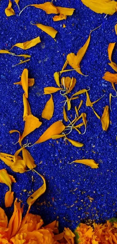 Golden petals scattered on blue sand background wallpaper.