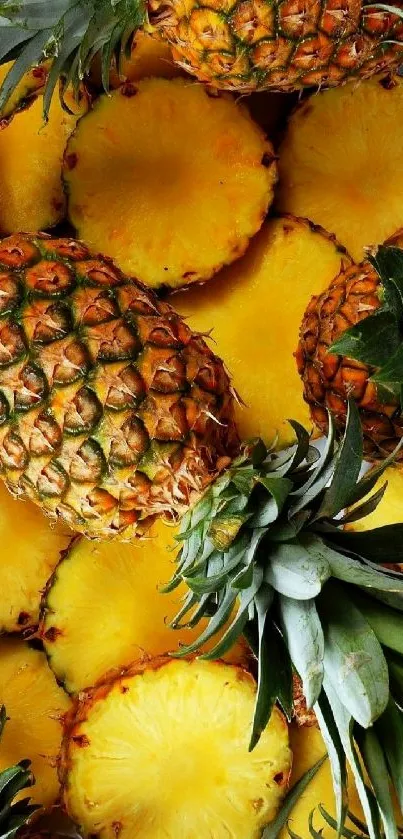 Vibrant pineapple slices and whole pineapples on a wallpaper.