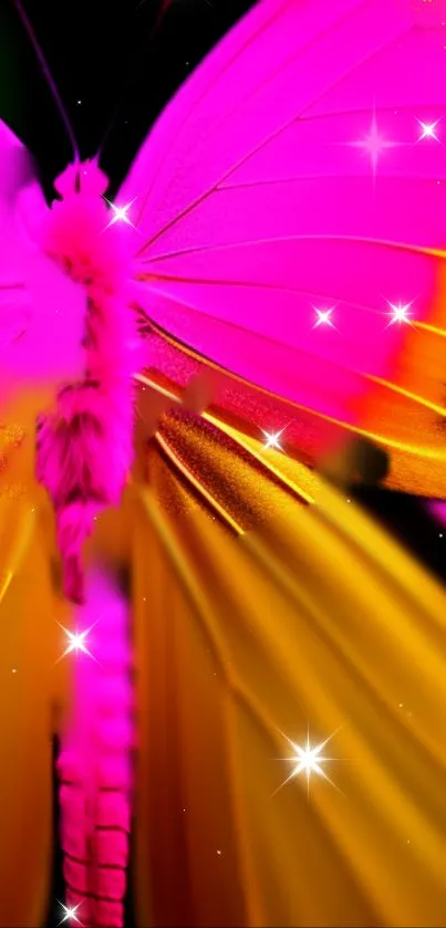Vibrant butterfly in pink and orange with shimmering star accents.
