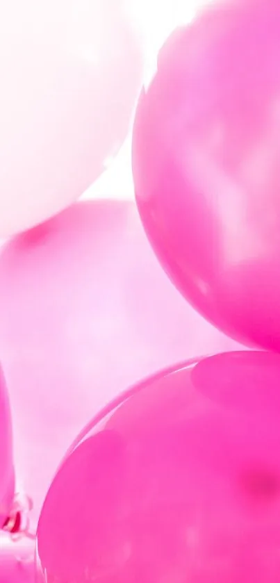 Vibrant pink and white balloons creating a lively wallpaper pattern.