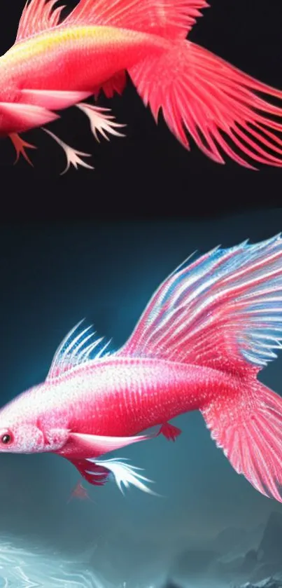 Vibrant pink Betta fish with flowing fins in digital art style.