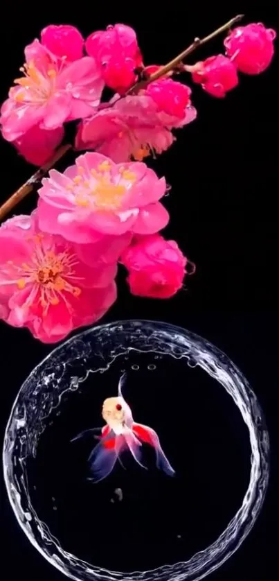 Pink blossoms and goldfish on black background.