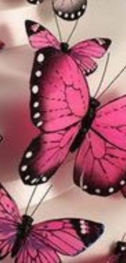 Pink butterflies with intricate patterns on a soft backdrop.