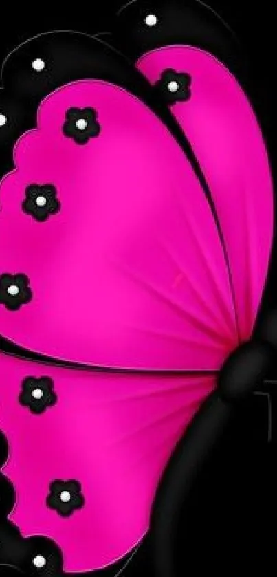 Elegant pink butterfly with floral accents on a black background.