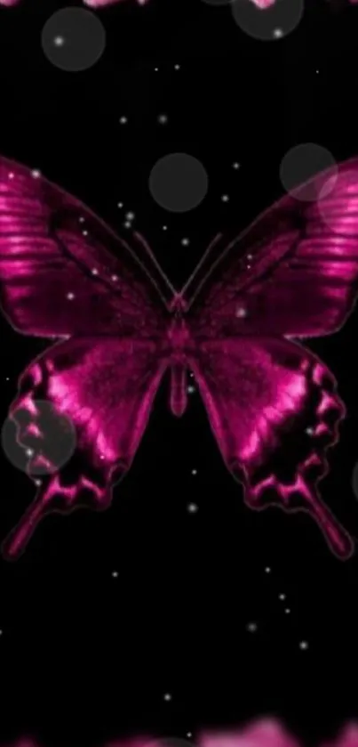 Vibrant dark pink butterfly on black background wallpaper.