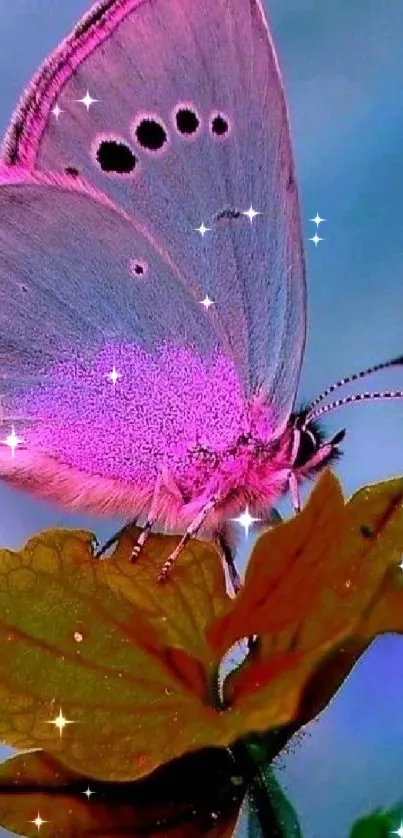 A vibrant pink butterfly perched on a leaf with a blurred background.