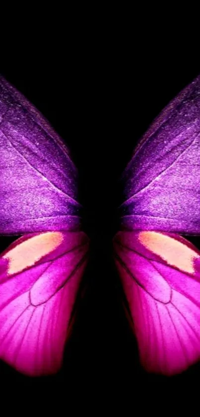 Vibrant pink butterfly wings on a black background, stunning mobile wallpaper.