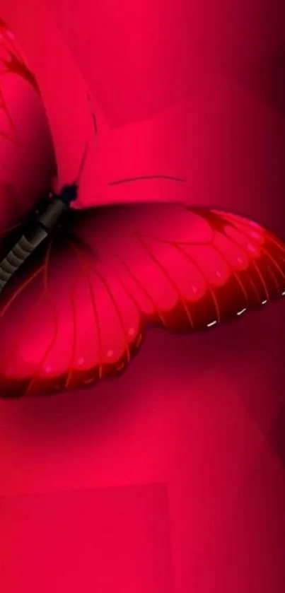 Vibrant pink butterfly on a colorful background, perfect for mobile screens.