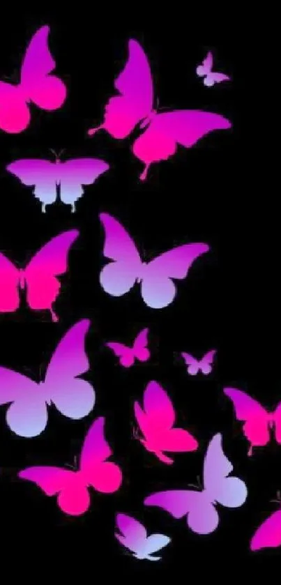 Vibrant pink butterflies on black background wallpaper.