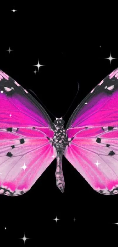 Pink butterfly with black background.