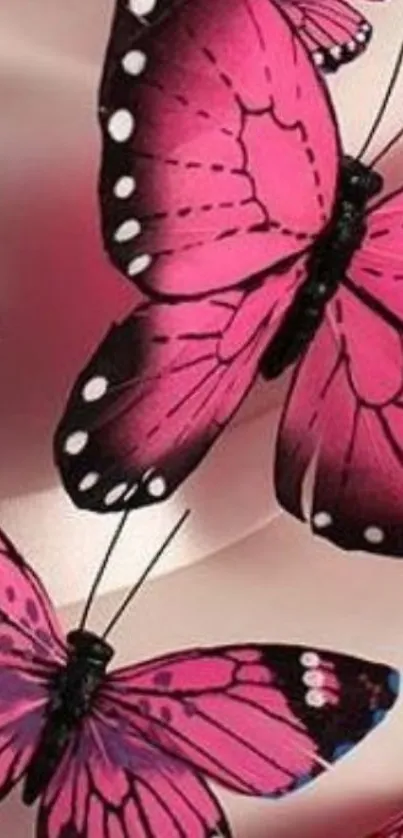 Vibrant pink butterfly wallpaper with elegant design.