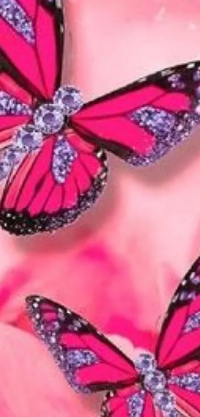 Two vibrant pink butterflies on a pink floral background.