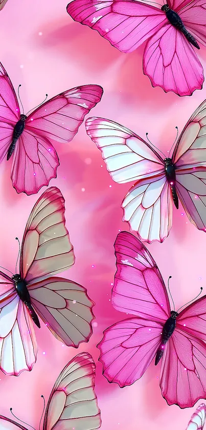 Vibrant pink butterflies on a soft pink background.