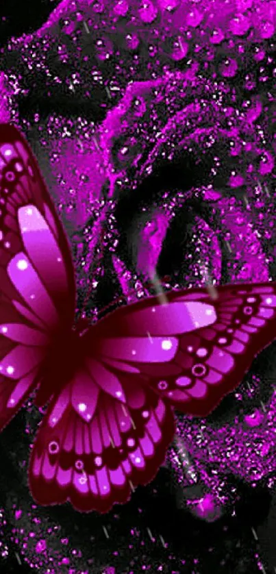 Vibrant pink butterfly and rose mobile wallpaper.