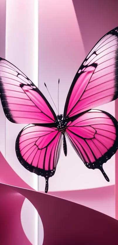 Vibrant pink butterfly with elegant wings on a colorful backdrop.