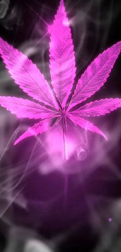 Vibrant pink cannabis leaf art on dark background.