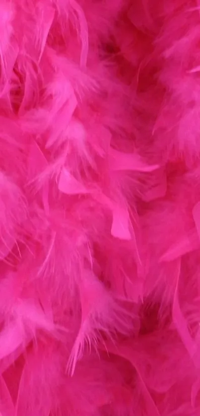 Vibrant pink feather pattern wallpaper.