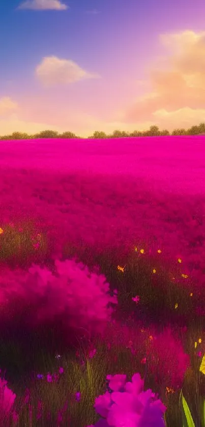 A vibrant field of flowers under a colorful sunset sky.