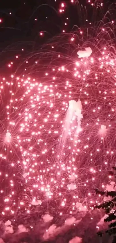 Vibrant pink fireworks lighting up the night sky.