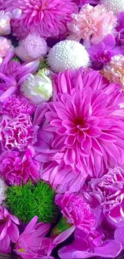 Vibrant pink and white flowers in a basket for a refreshing wallpaper.