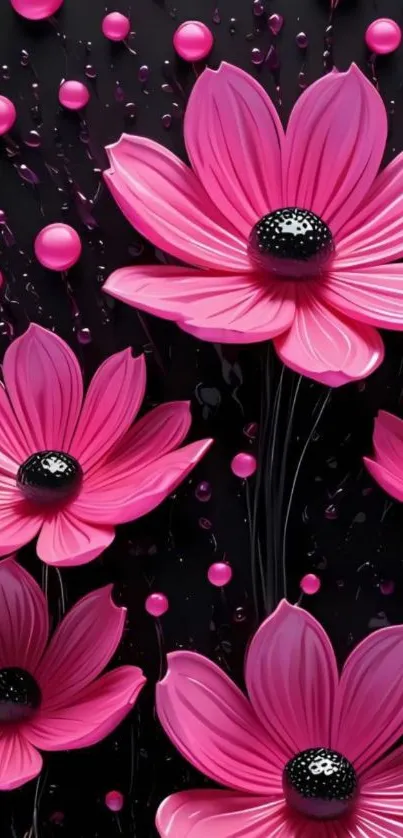 Vibrant pink flowers with black background.