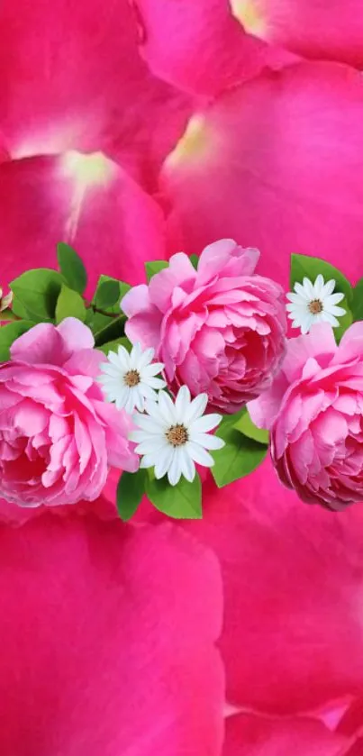 Pink peonies with green leaves and white flowers on petal background.