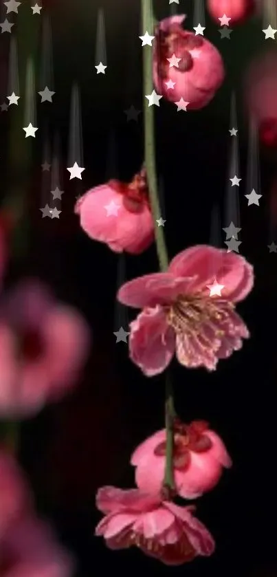 Pink floral mobile wallpaper with stars against a dark background.