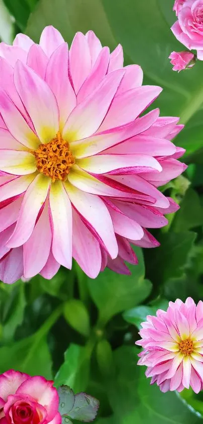 Close-up of pink flowers with green leaves.