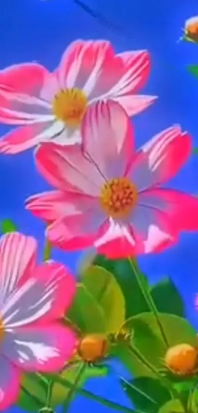 Pink flowers on a bright blue sky background.