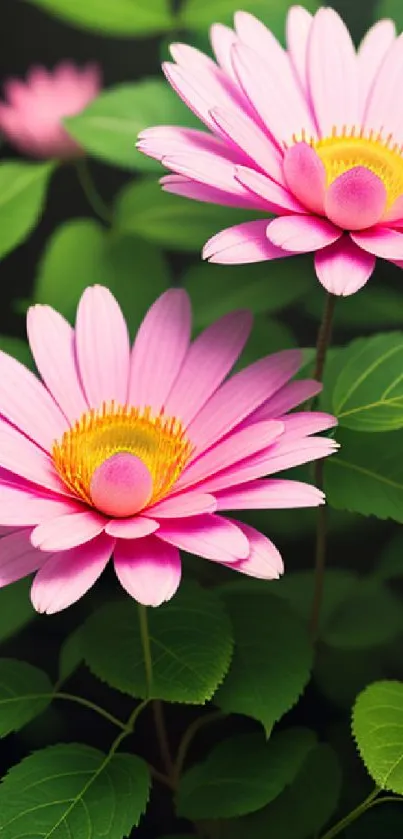 Vibrant pink flowers with lush green leaves on a mobile wallpaper.