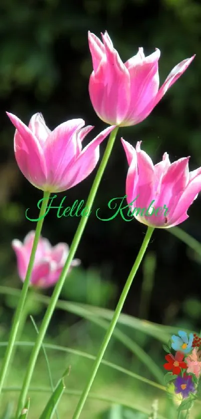 Vibrant pink flowers set against a lush green background for mobile wallpaper.