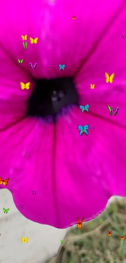 Close-up of pink flower with butterflies.