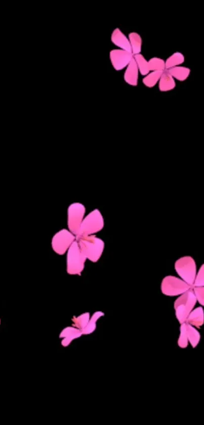 Vibrant pink floral wallpaper on black background.