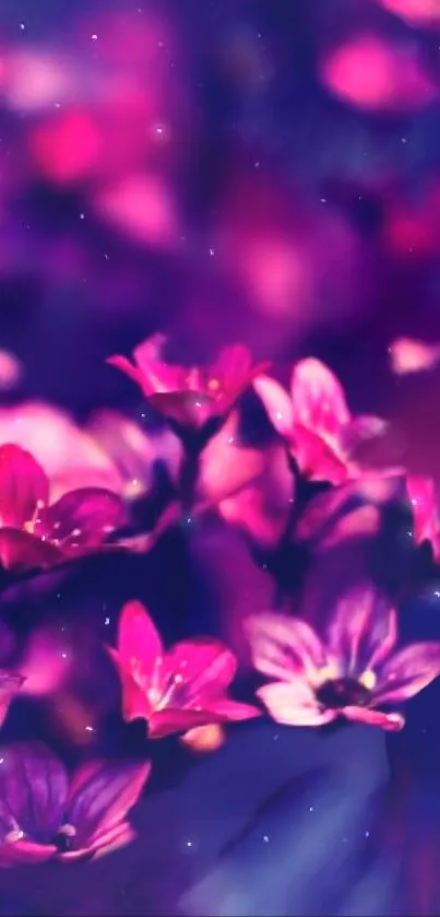 Vibrant pink flowers with a dreamy violet background.