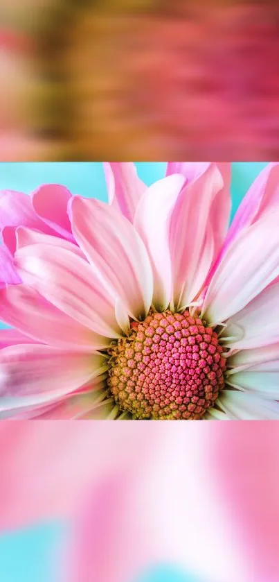 Vibrant pink flower with petals