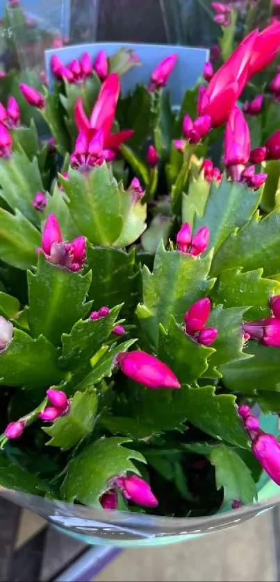 Vibrant pink flower bouquet with lush green leaves.