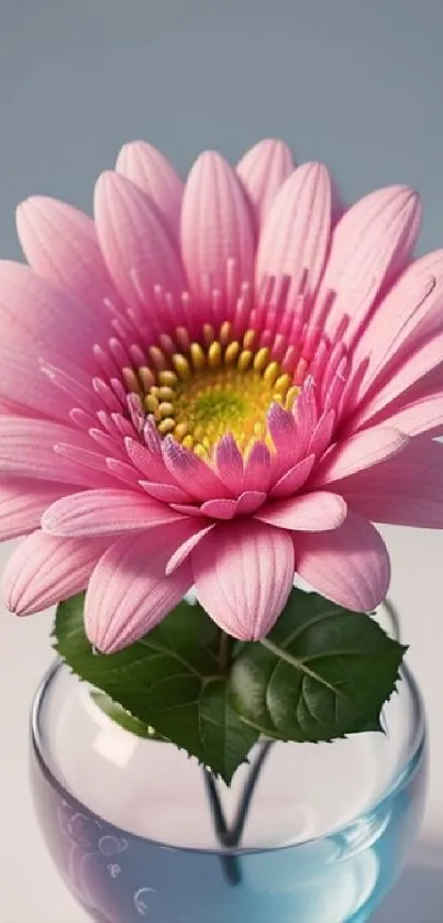 Pink flower in glass vase with green leaves.