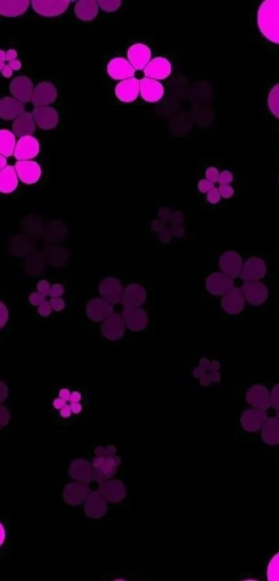 Dark wallpaper with vibrant pink flowers on a black background.