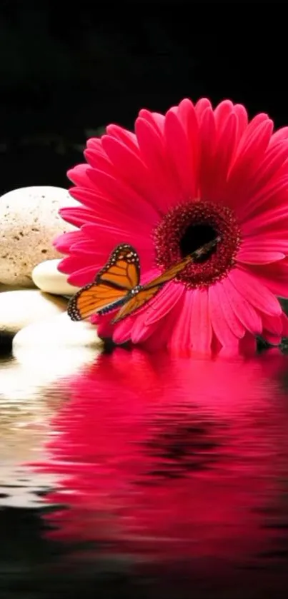 Vibrant pink flower reflecting on serene water with a butterfly.