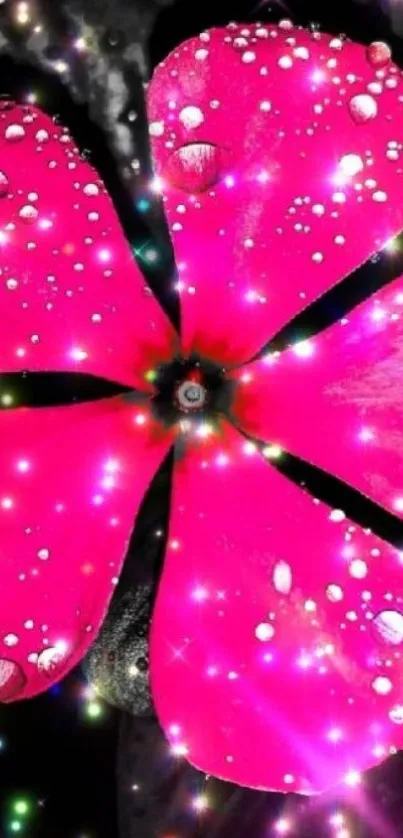 Vibrant pink flower with sparkling droplets wallpaper.