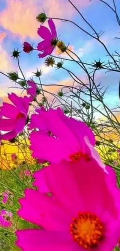 Pink flowers against a vibrant sunset sky.