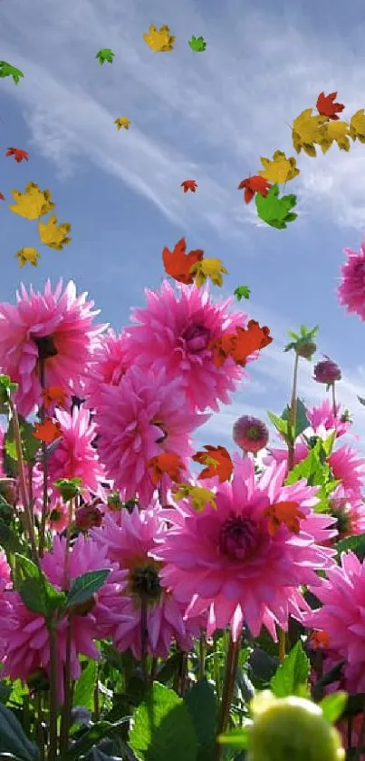 Vibrant pink flowers through an open window with a serene sky.