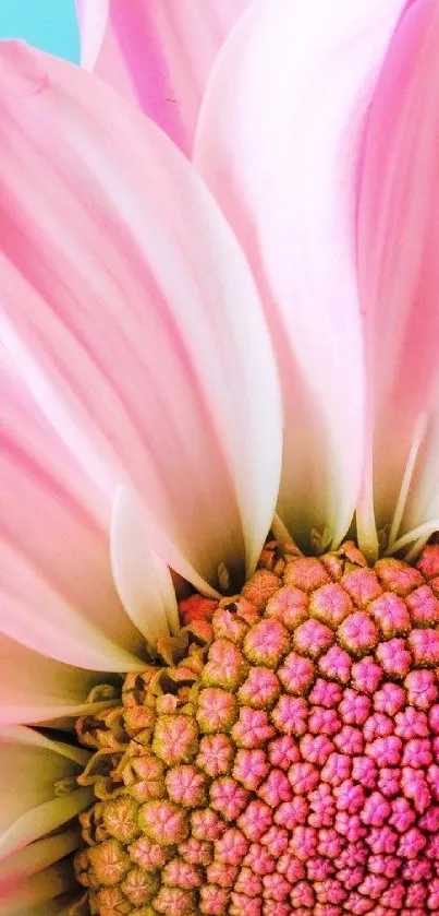 Close-up of a vibrant pink flower with detailed petals and a bright center.