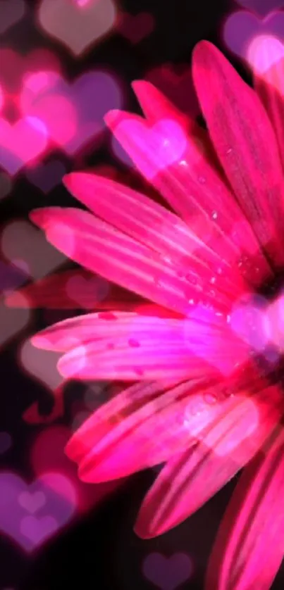 Pink flower with heart-shaped bokeh on a black background.