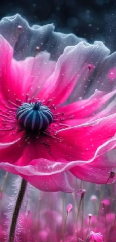 Close-up of a vibrant pink flower, soft bokeh background.